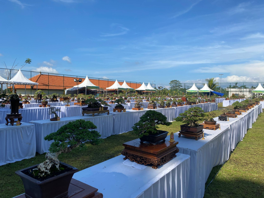 Pameran dan Lomba Bonsai Internasional Festival The Max 30 Hadir di Carangsari, Angkat Semangat Ciung Wanara