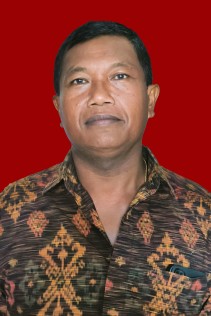 I Wayan Satu